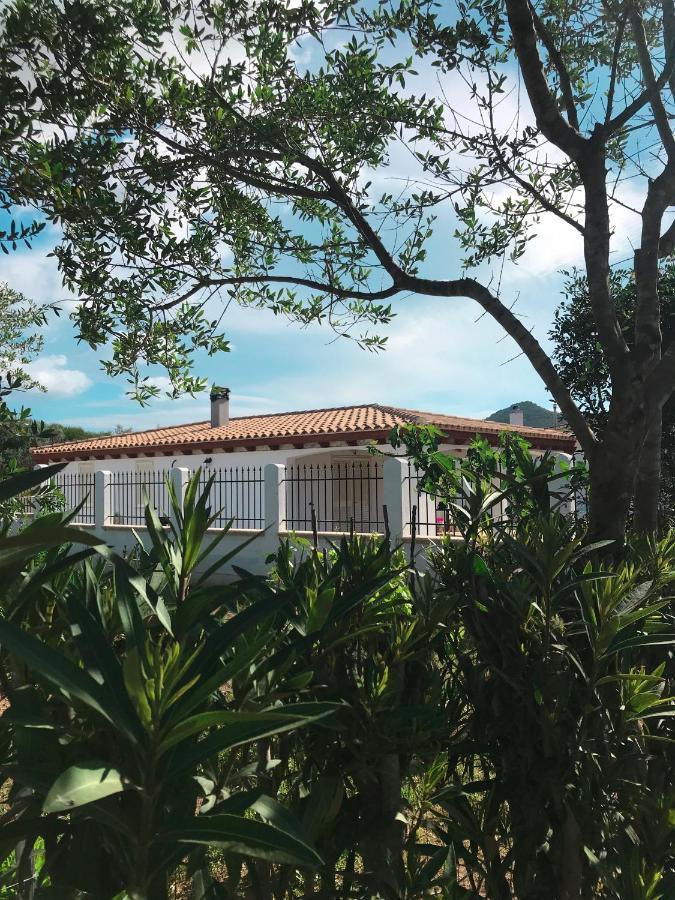 La Casa Dell Olivo Villa Castiadas Luaran gambar